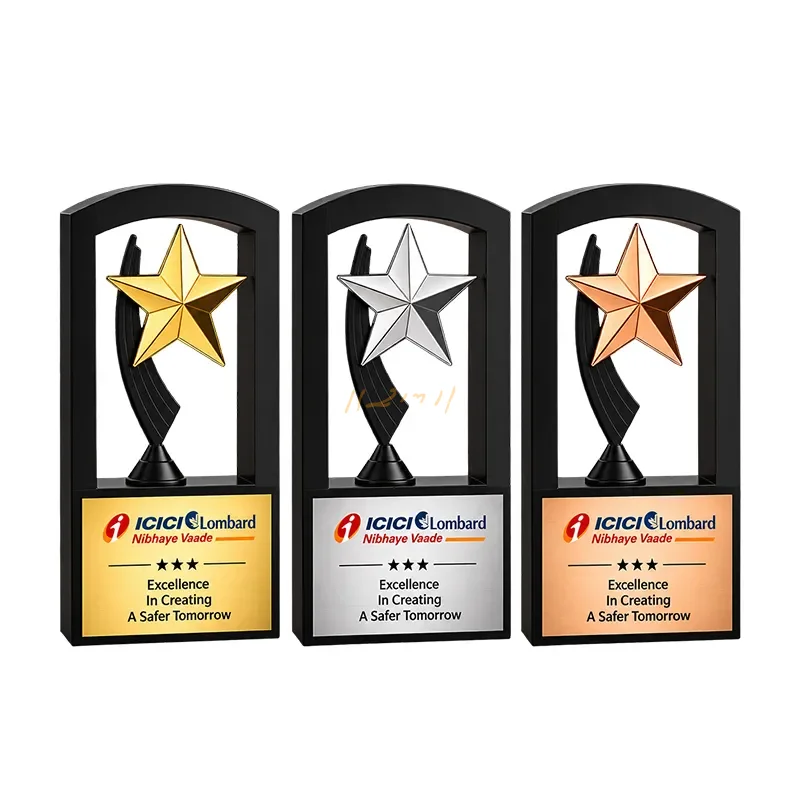 Framed Star Wooden and Metal Corporate Trophy