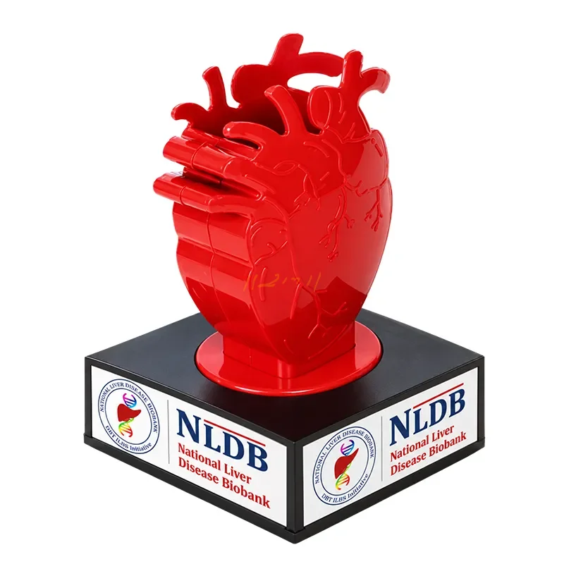 Anatomical Heart-Shaped Revolving Pen Stand