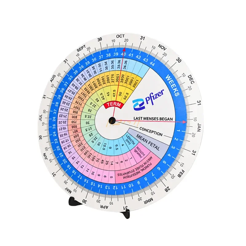 Plastic Wheel Chart with Display Stand